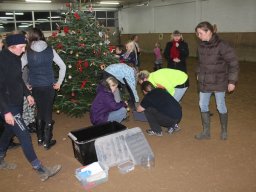 2014 Juletræspyntning